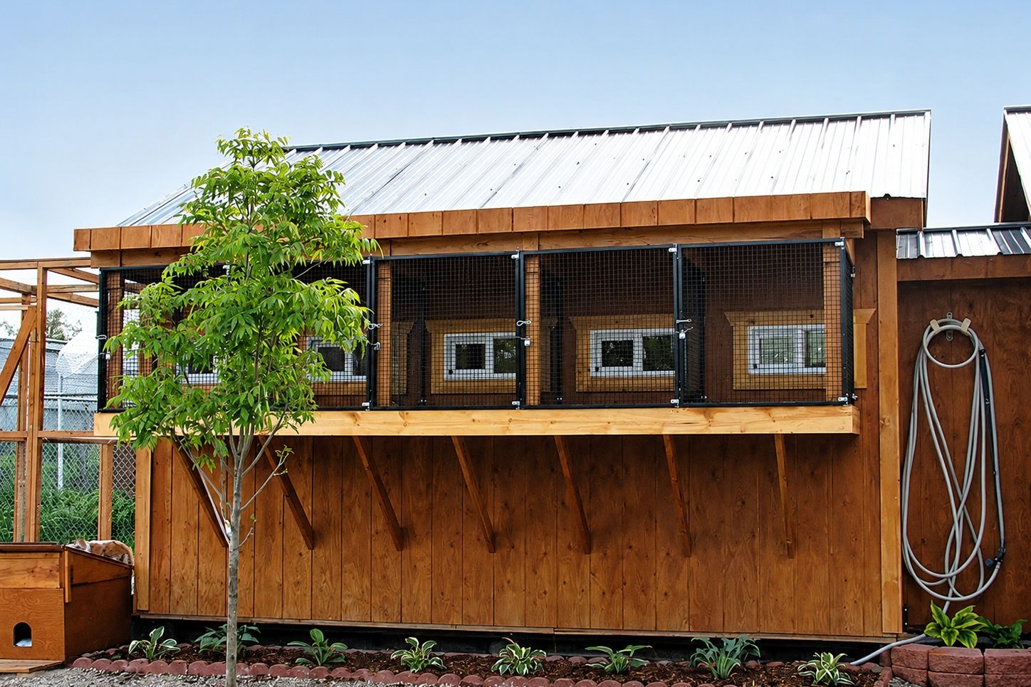 Cat boarding building with private elevated window cages along the wall
